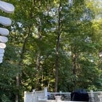 Trees beside deck