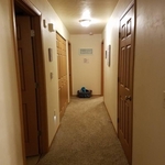 Apartment Cleaning