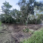 Land clearing / thinning