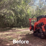 Land lot clearing