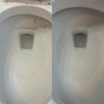 Before and After Photos