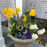 Spring Flower Pots