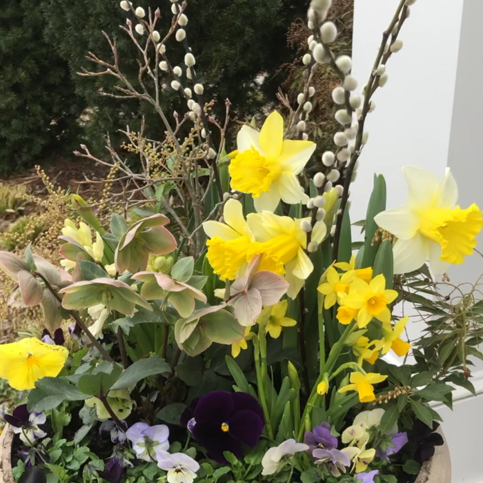 Spring Flower Pots