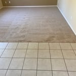 Carpet