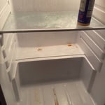 Mmm twisted tea n bang bang sauce in a dirty fridge. Anyone hungry?