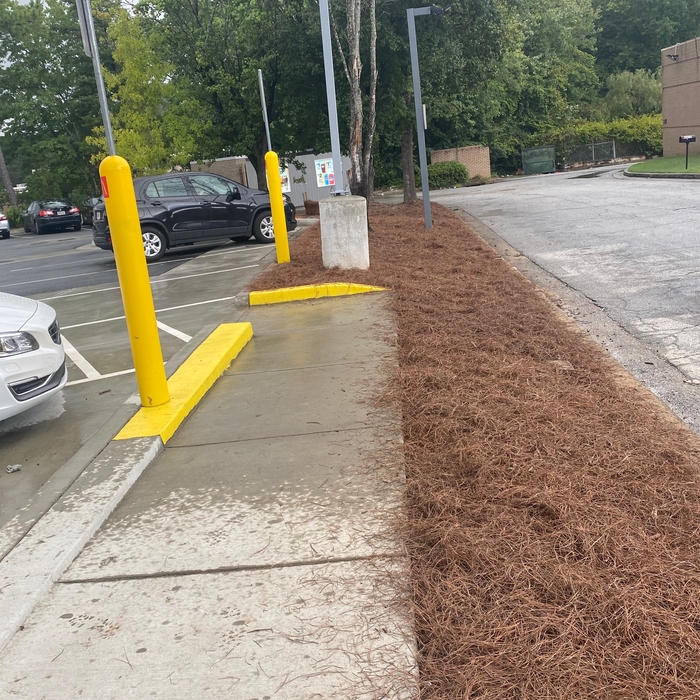 Pine straw