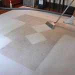 Hot water extraction