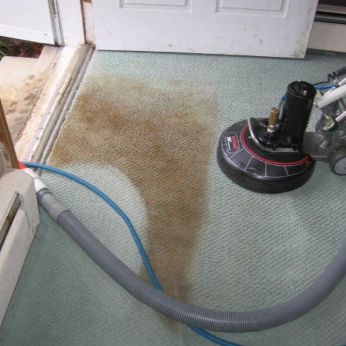 Deep Bonnet buffer scrub.