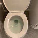 Bathroom Clean