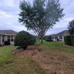 Tree removed and stump ground.
