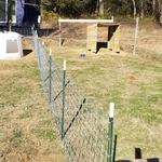 Sheep pin fencing Installation
