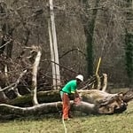 Tree Service Project