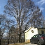Tree Service Project