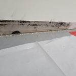 Black mold and drywall repair