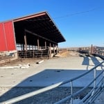 Cattle Lot
