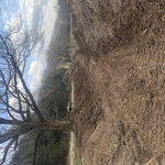 Landscaping Project