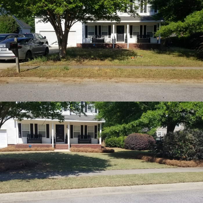 Revived Yard