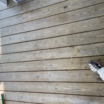 Deck remodel