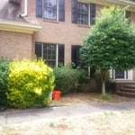Before
