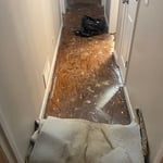 Carpet Pad Removal