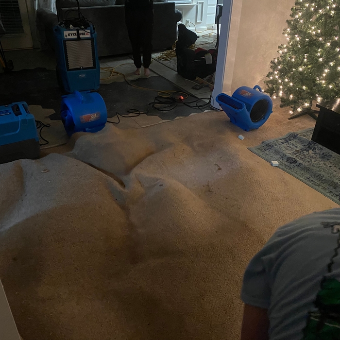 Living Room Dry out
