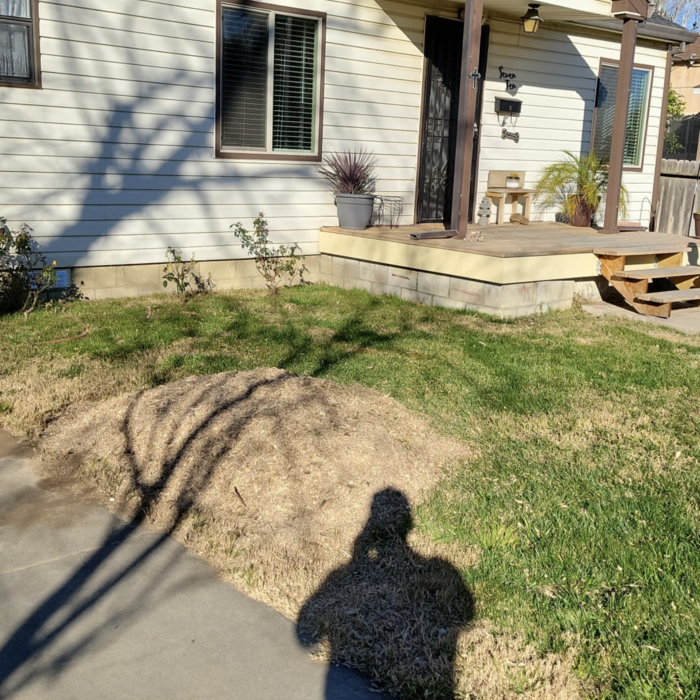 Additional Photos