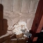 Rodent Removal
