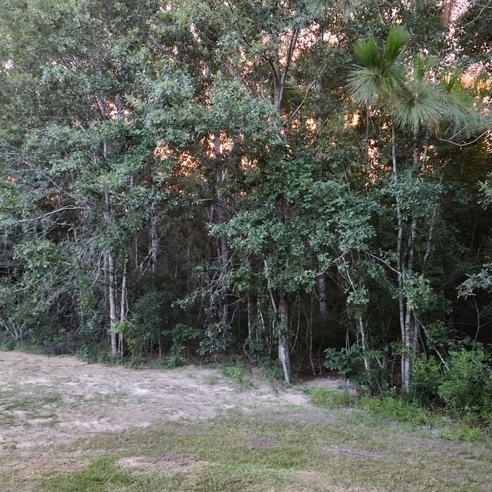 Mulch & Topsoil Project