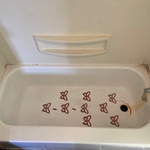 Move out & deep cleaning