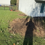Bush and stump removal
