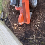 Bush and stump removal