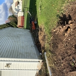 Bush and stump removal