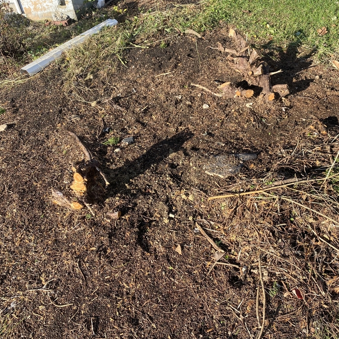 Bush and stump removal