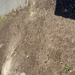 Landscaping Project