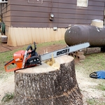 Tree Service Project