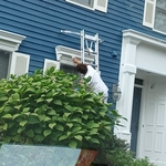 Painting the trim