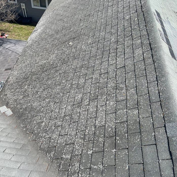 Roofing Project