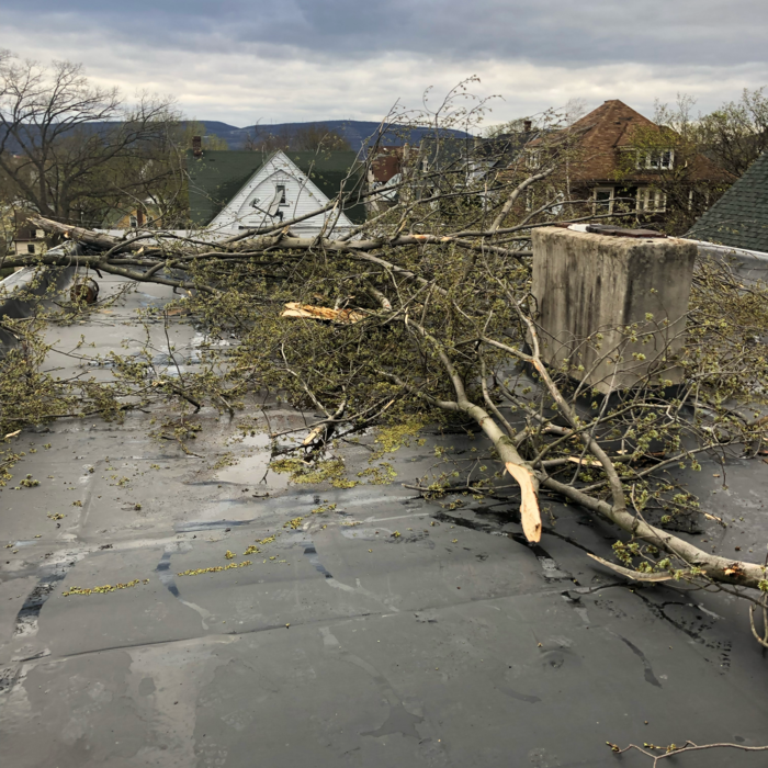 Additional Photos