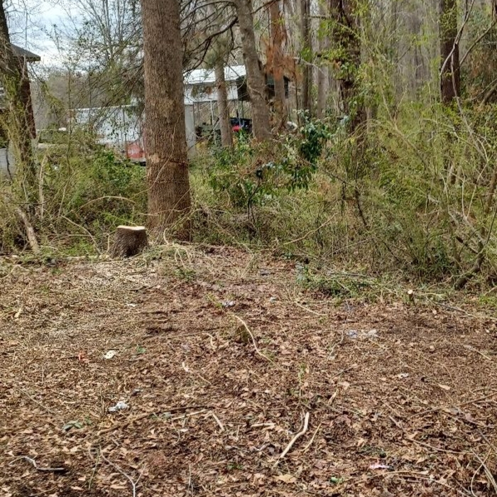 Landscaping Project