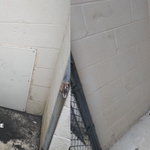 Pressure Washing Project