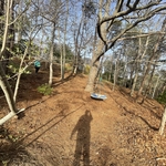Landscaping Project