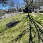 Landscaping Project