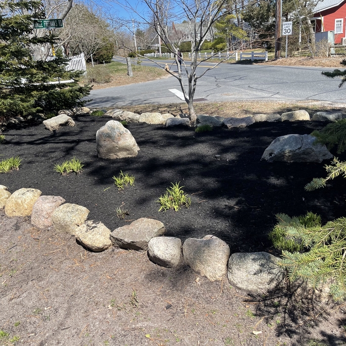 Landscaping Project