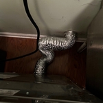 Restricted air flow due to long flex smashed behind dryer
