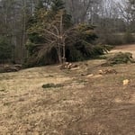 Storm damage