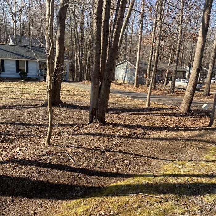 Tree Service Project