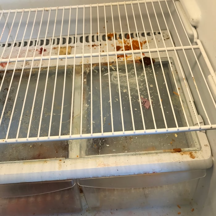 Housecleaning Project