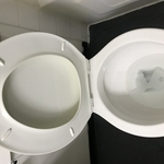 Housecleaning Project