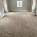 Carpet cleaning