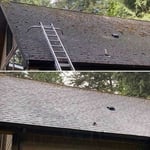 roof moss removal
